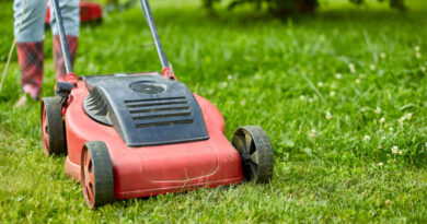 Best Budget Cordless Lawn Mowers