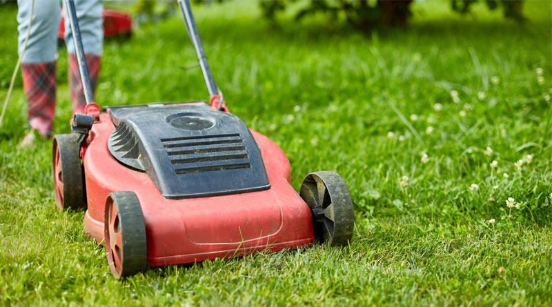Best Budget Cordless Lawn Mowers