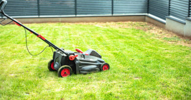 Best Budget Electric Lawn Mowers