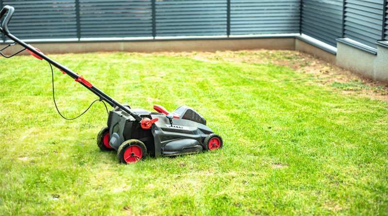 Best Budget Electric Lawn Mowers
