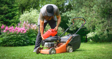 Best Budget Gas Lawn Mowers