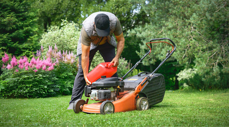 Best Budget Gas Lawn Mowers