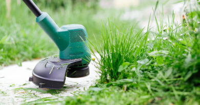 Best Budget Grass Trimmers