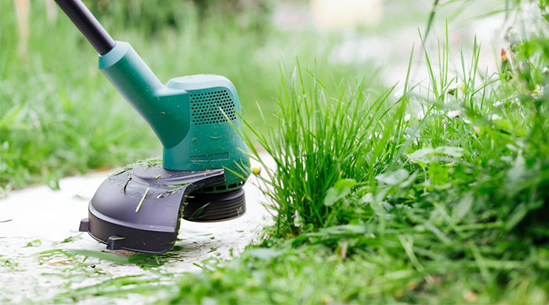 Best Budget Grass Trimmers