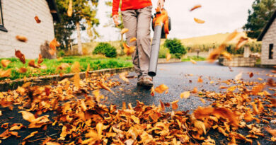 Best Budget Leaf Blowers