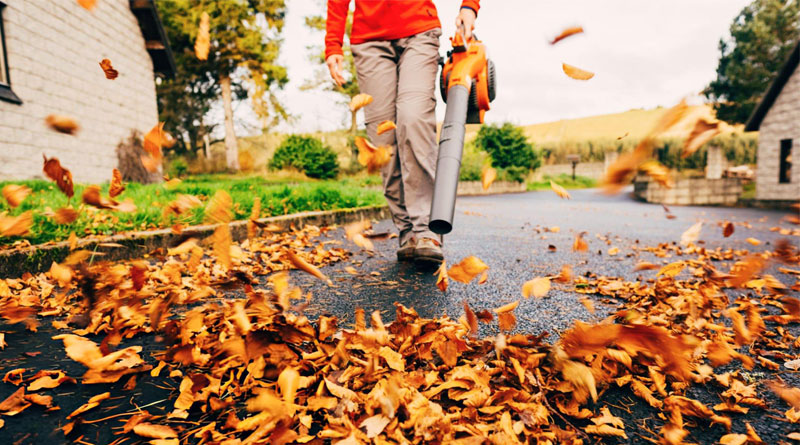 Best Budget Leaf Blowers