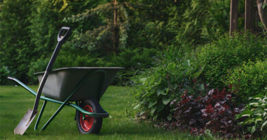Best Budget Wheelbarrows