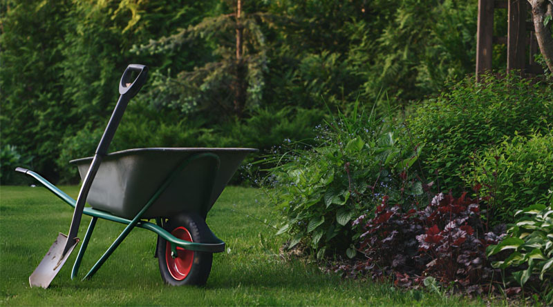 Best Budget Wheelbarrows