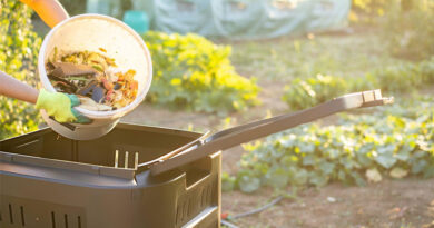 Best Compost Bins For Garden