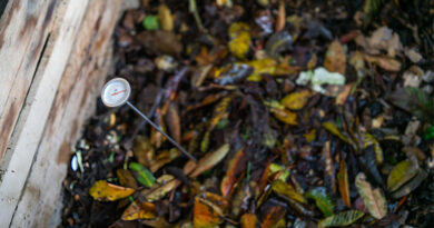 Best Compost Thermometers