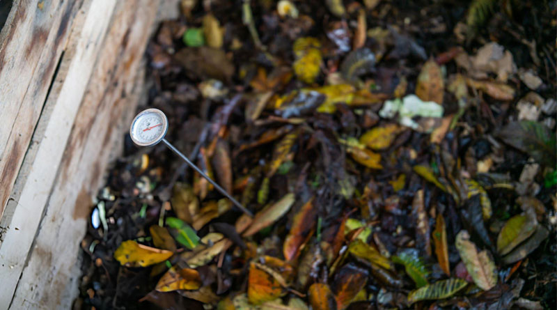 Best Compost Thermometers