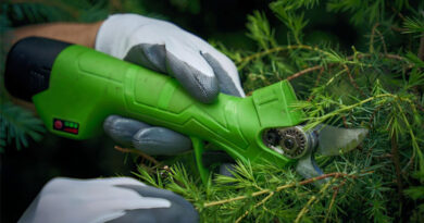 Best Cordless Pruning Shears