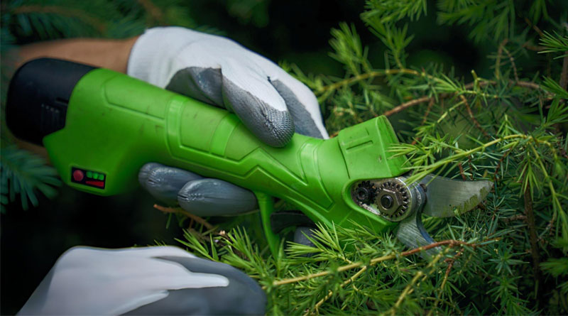 Best Cordless Pruning Shears