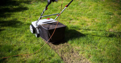 Best Dethatcher For Large Lawns