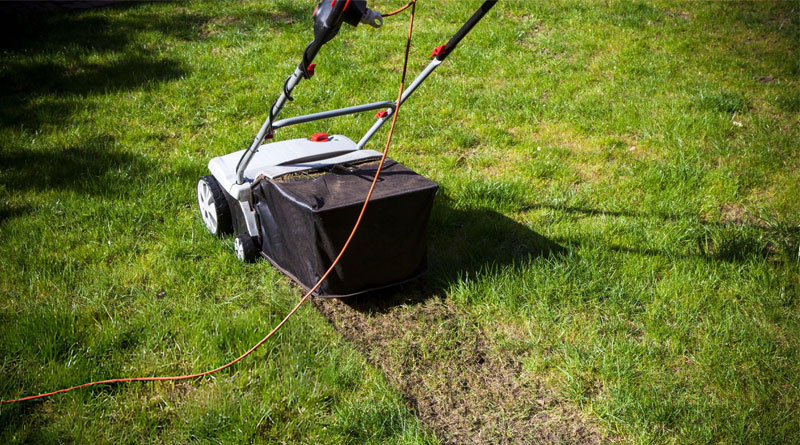 Best Dethatcher For Large Lawns
