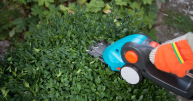 Best Electric Grass Shears