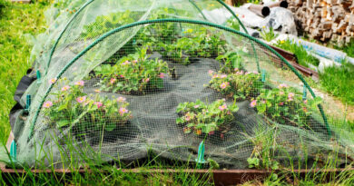 Best Garden Nettings