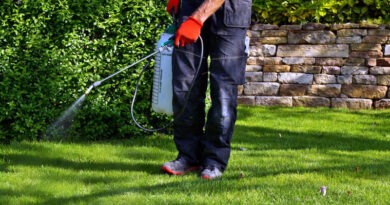 Best Garden Pest Control