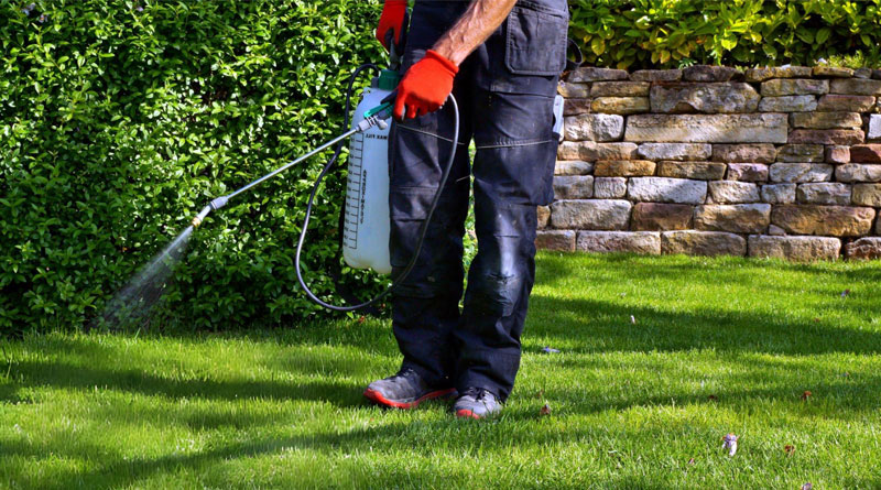 Best Garden Pest Control