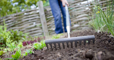 Best Garden Rakes