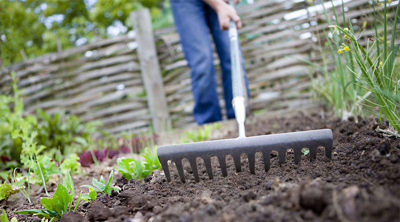 Best Garden Rakes