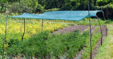 Best Garden Shade Cloths