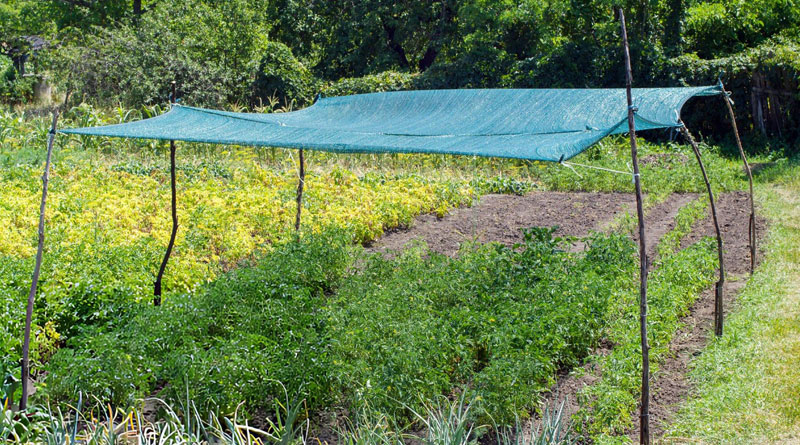 Best Garden Shade Cloths