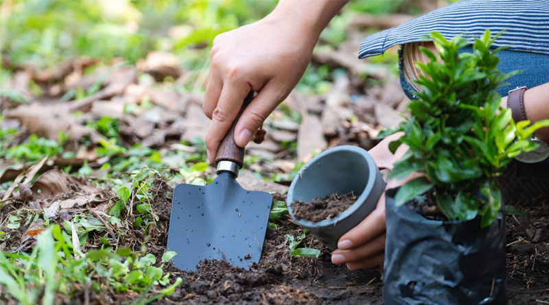 Best Garden Trowels