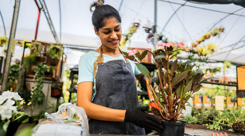 Best Gardening Aprons