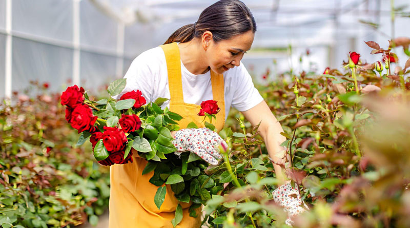Best Gardening Gloves For Roses