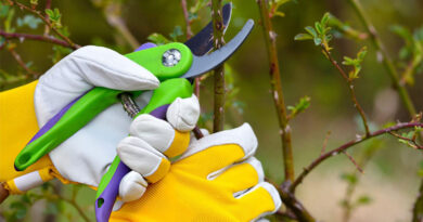 Best Gardening Gloves For Women
