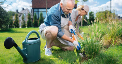 Best Gardening Tools For Seniors