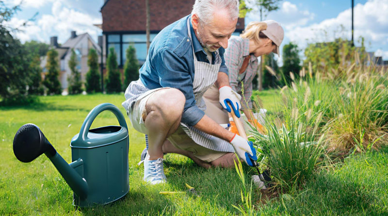 Best Gardening Tools For Seniors