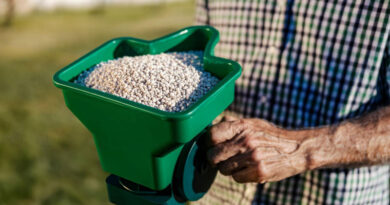 Best Handheld Fertilizer Spreaders