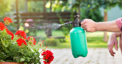 Best High-Pressure Hand Pump Sprayers