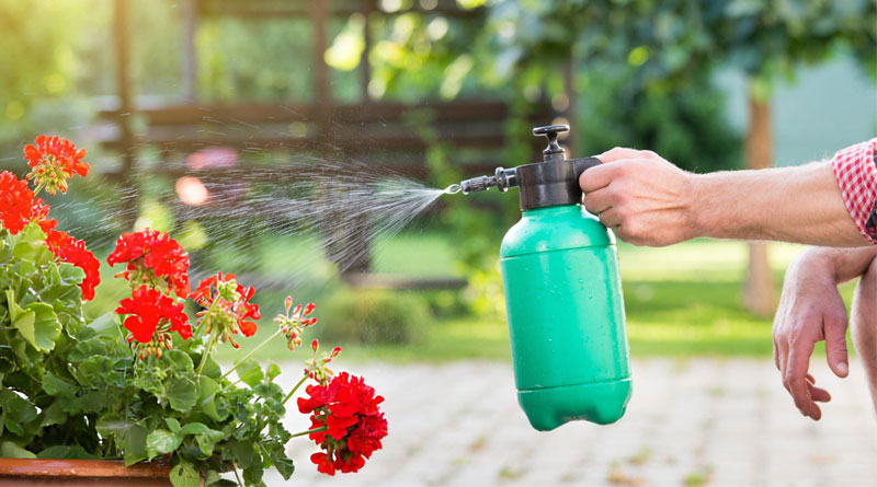 Best High-Pressure Hand Pump Sprayers