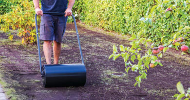 Best Lawn Rollers