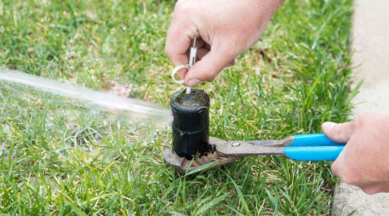 Best Lawn Sprinkler Heads