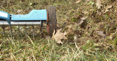 Best Manual Aerators For Lawn