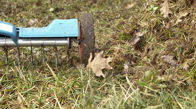Best Manual Aerators For Lawn