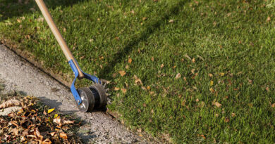 Best Manual Lawn Edgers