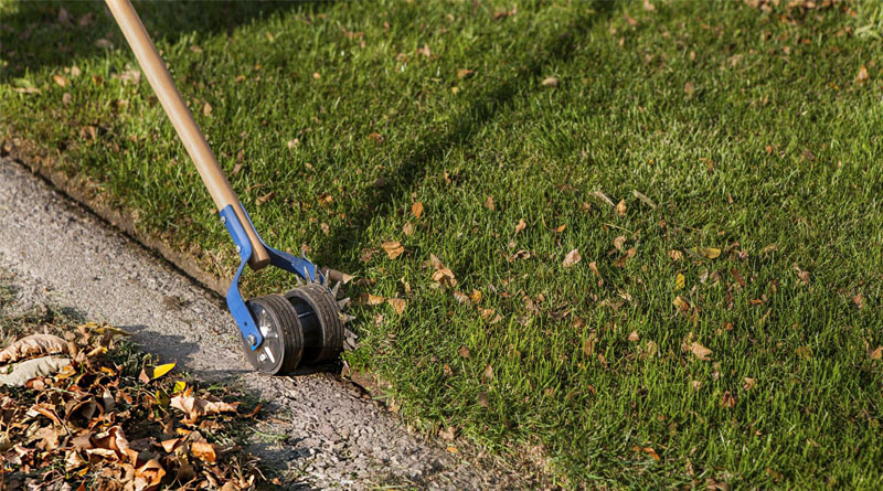 Best Manual Lawn Edgers