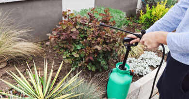 Best Pump Sprayers For Distance