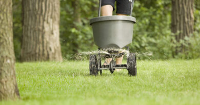 Best Push Fertilizer Spreaders