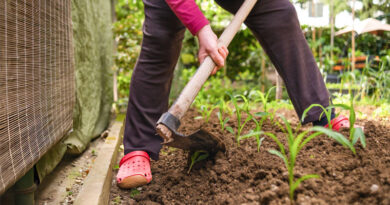 Best Shoes For Gardening And Yard Work