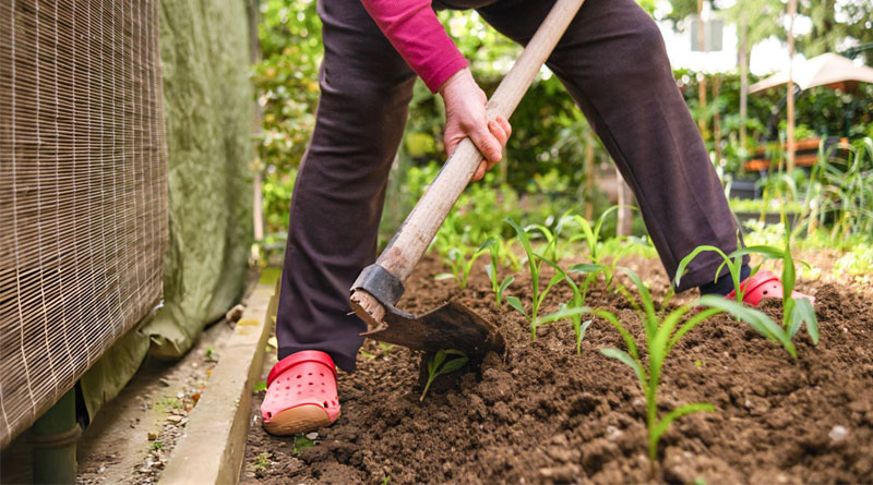 Best Shoes For Gardening And Yard Work