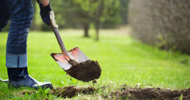 Best Shovels For Digging Deep Holes