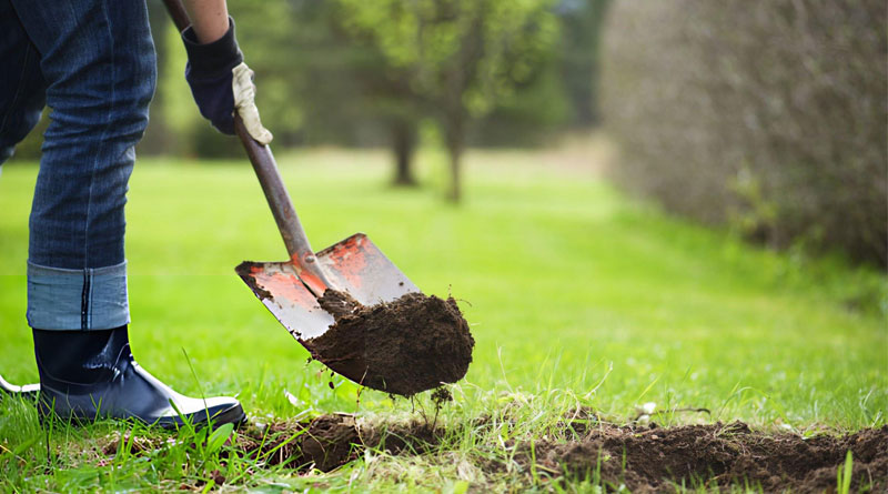 Best Shovels For Digging Deep Holes