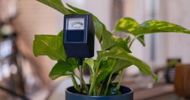 Best Soil Moisture Meters For Indoor Plants