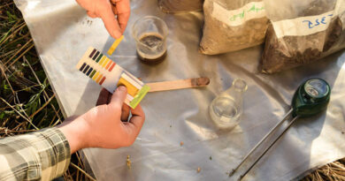 Best Soil Test Kits